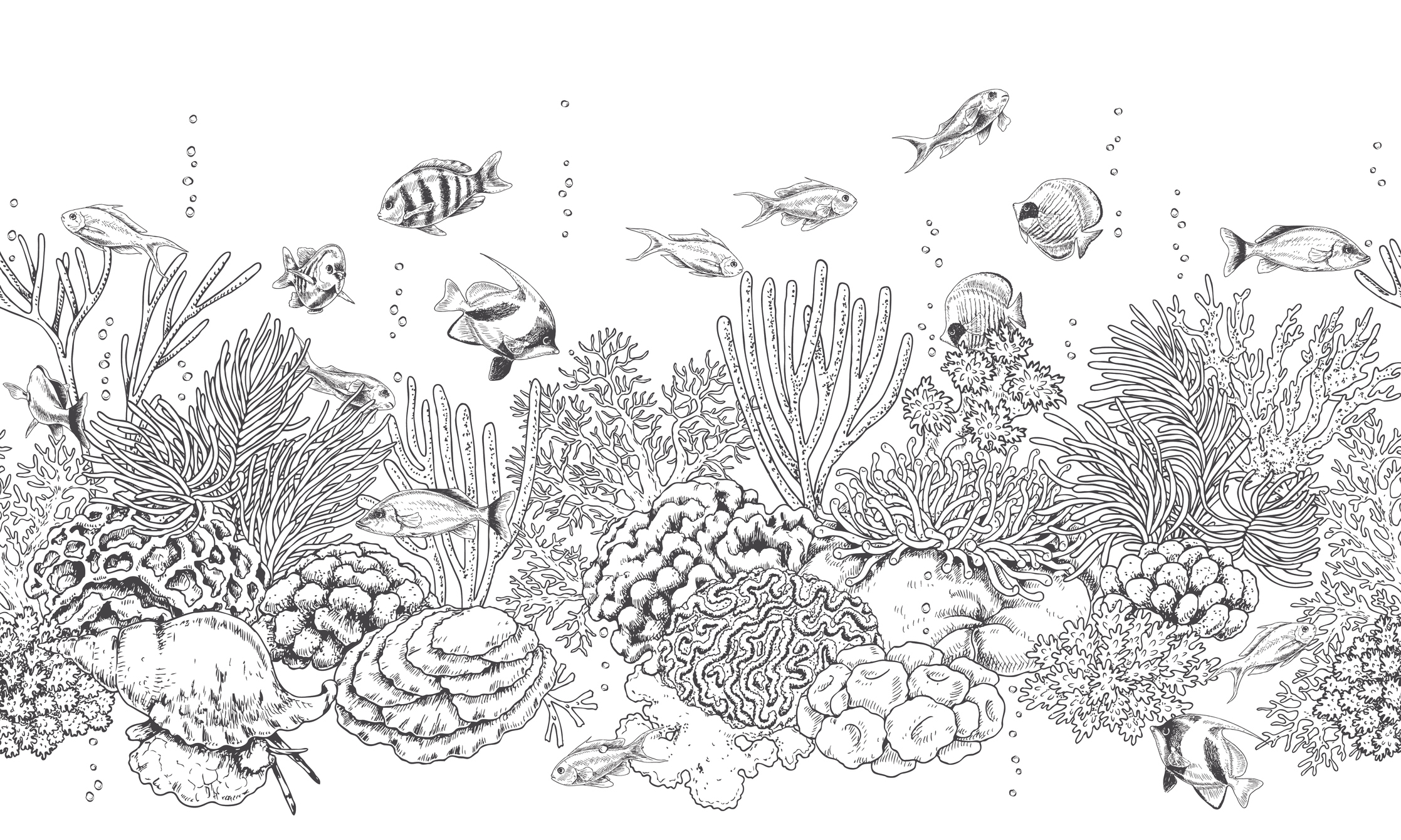 Hand drawn underwater natural elements. Seamless line horizontal pattern with reef corals, actinia, clams and swimming fishes. Monochrome sea bottom texture. Black and white illustration.
